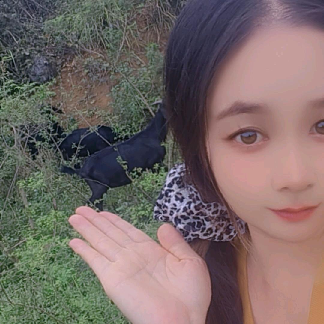 刘家四小姐