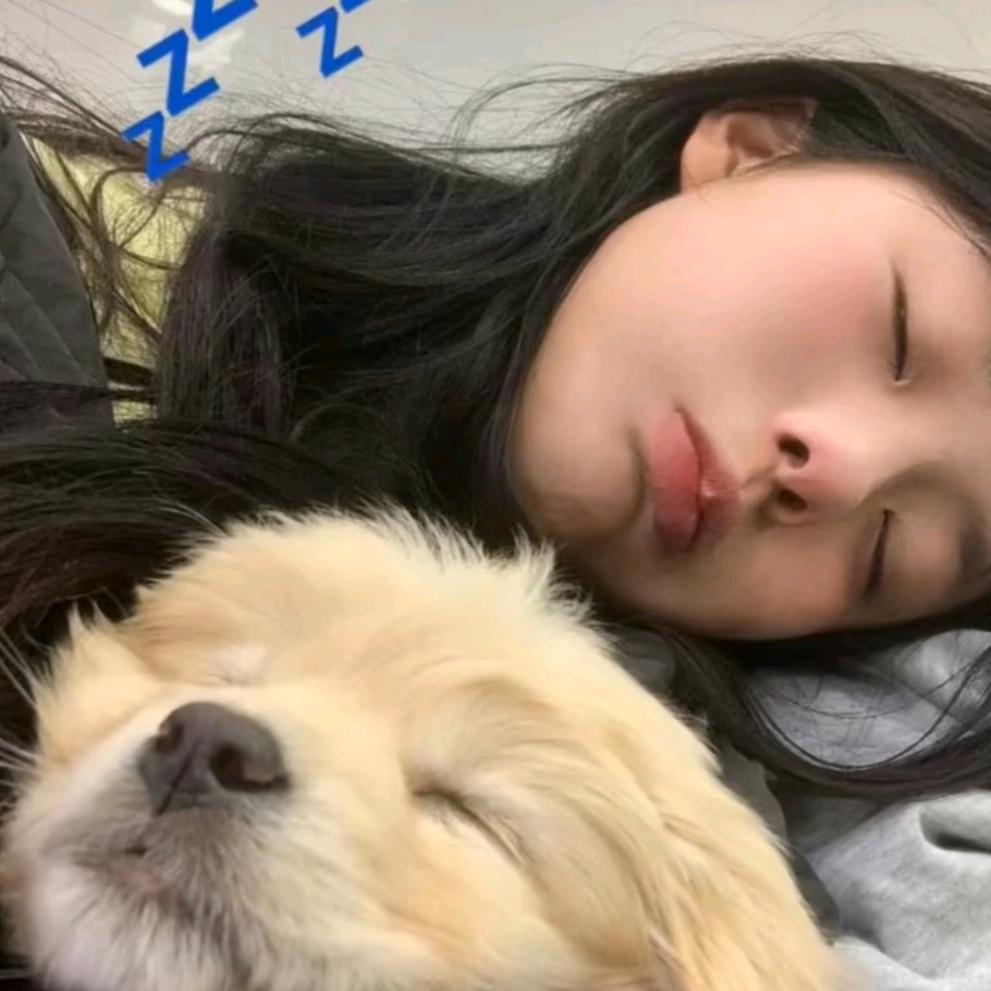 超困困困困困狗💤