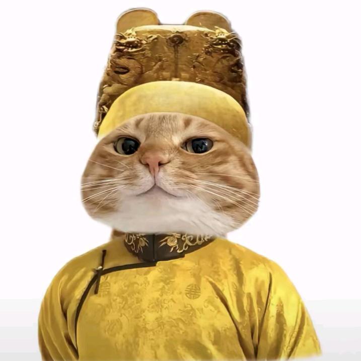 至尊圣上