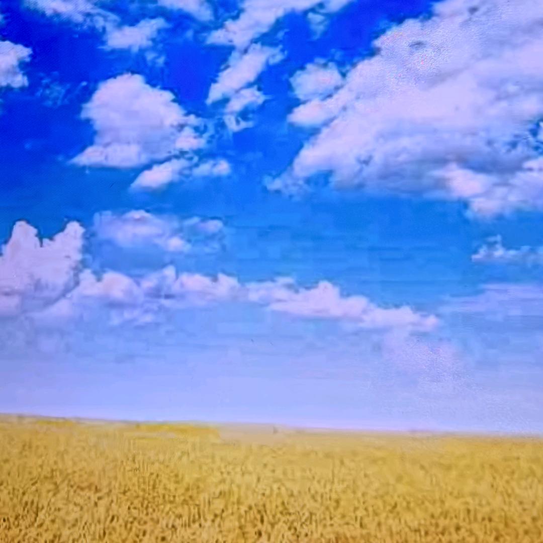 溪玥（拒绝私聊）