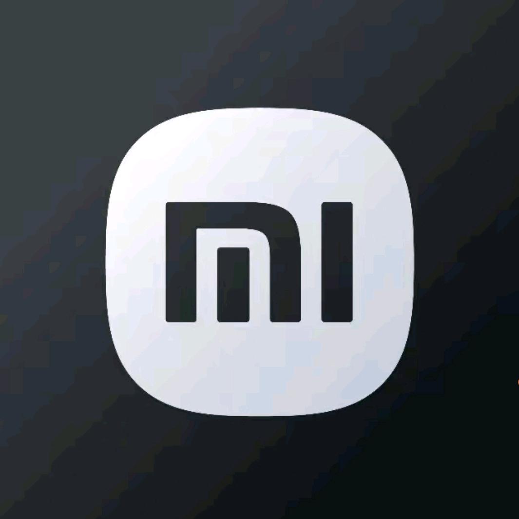 小米汽车｜大亚湾小龙