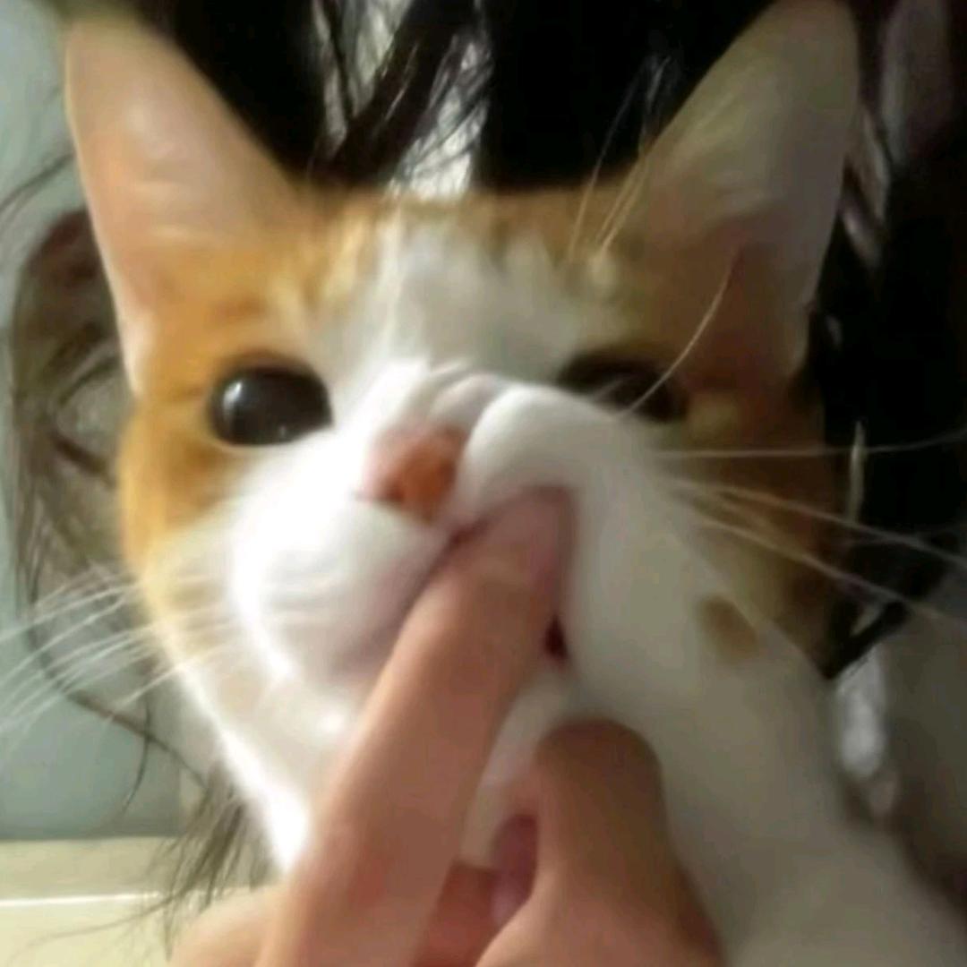 昨天不是才上过班吗