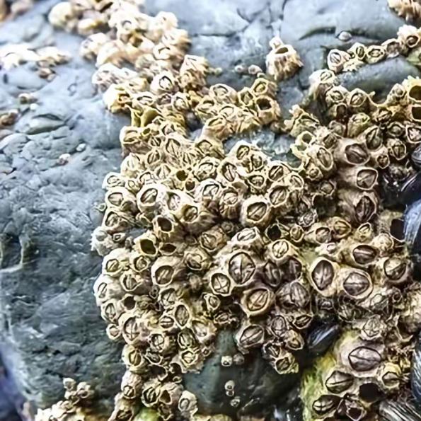 缤纷好物小铺0Kb