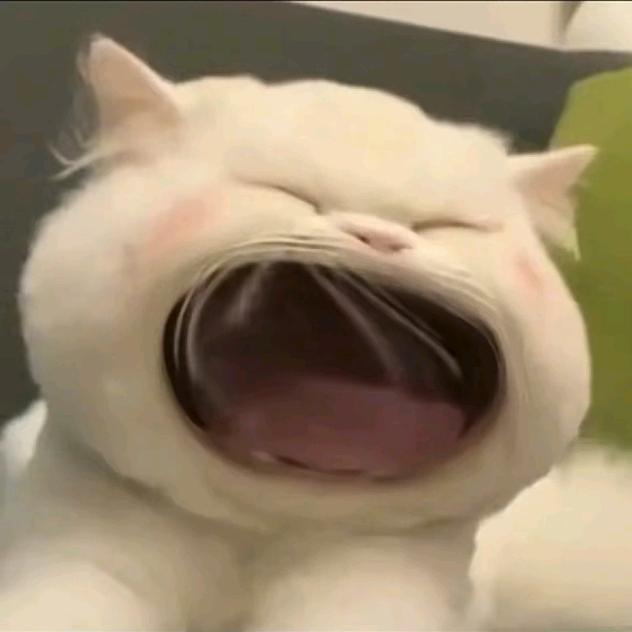 给我吃一口.👑