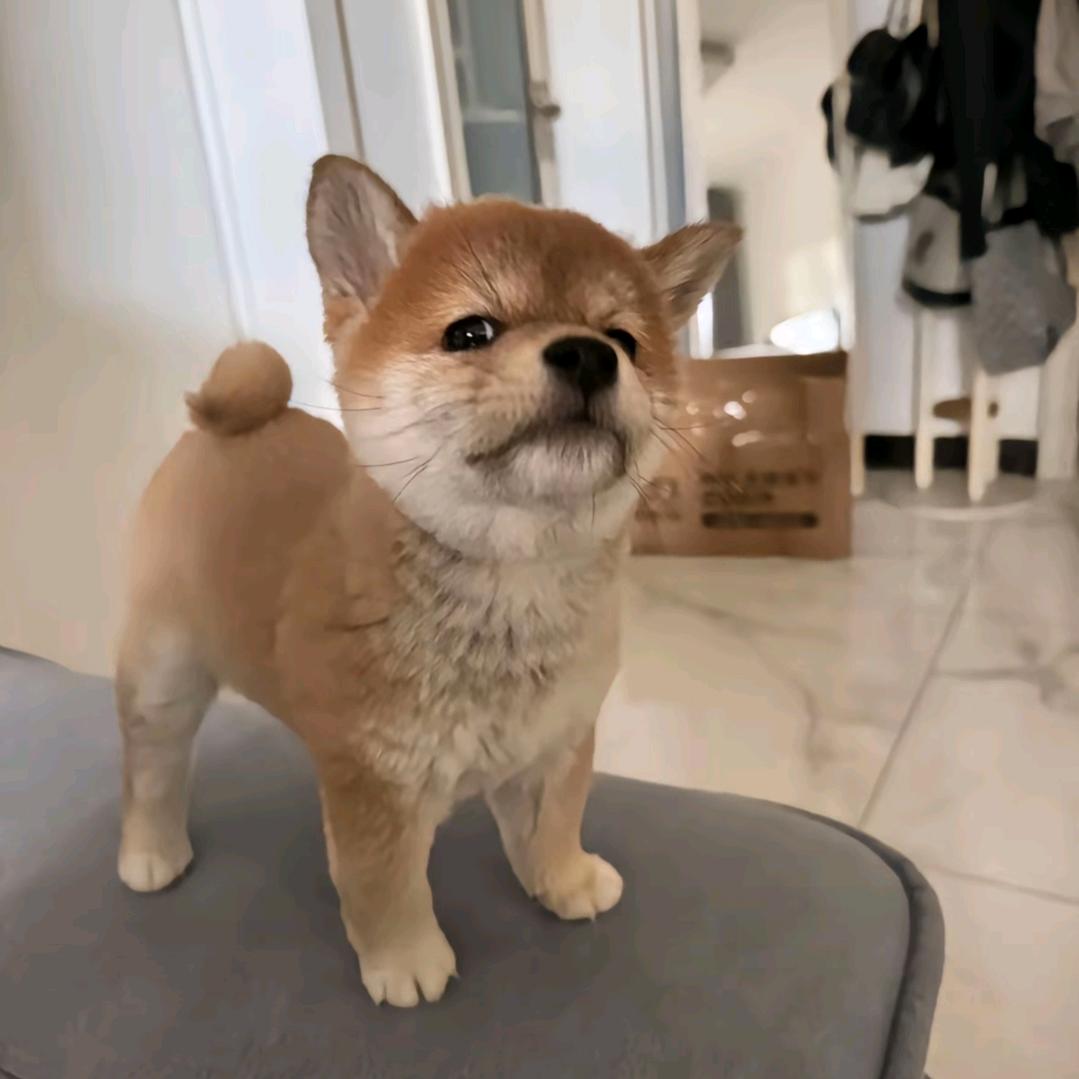 ── 展开25条回复 ⌵