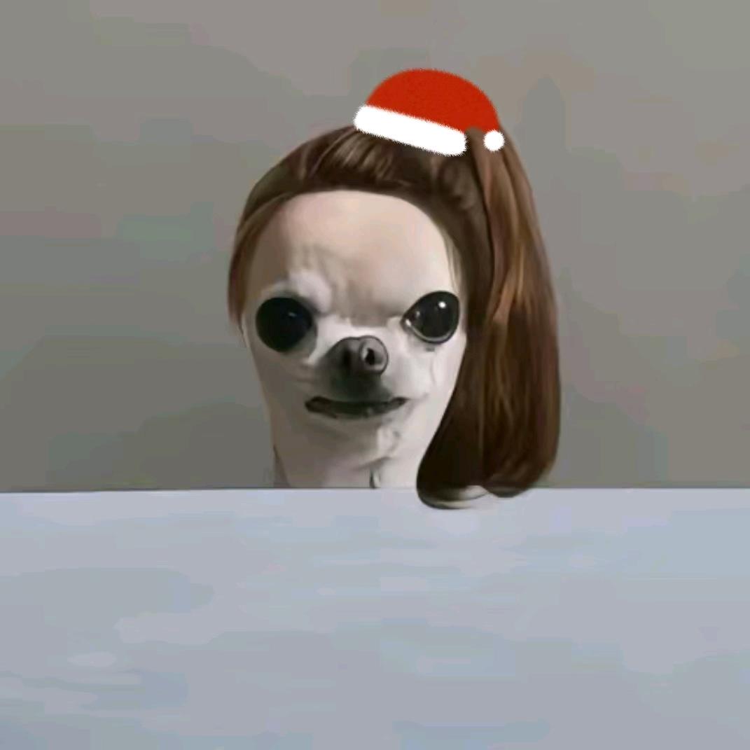 王乐乐