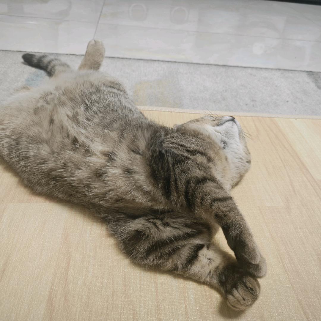 朝阳