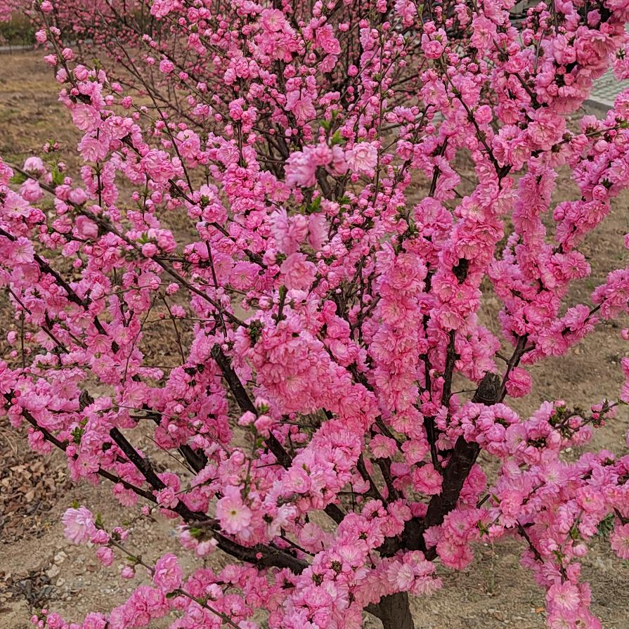 ໑优雅🕊寂静꧔ꦿ᭄雨滴💞