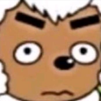 LcyShuaiZz