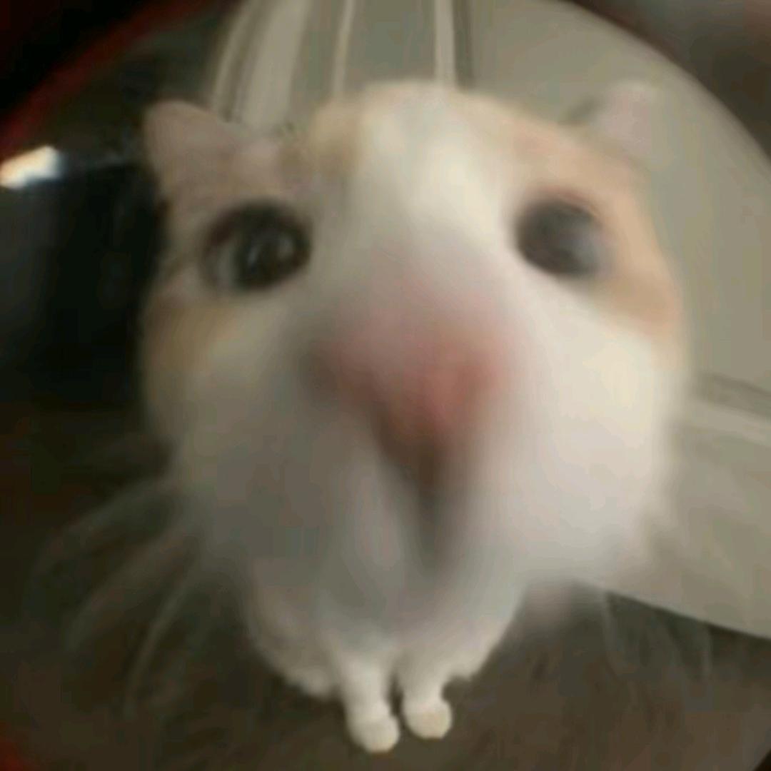 ζั͡ޓއއއ๓º忆