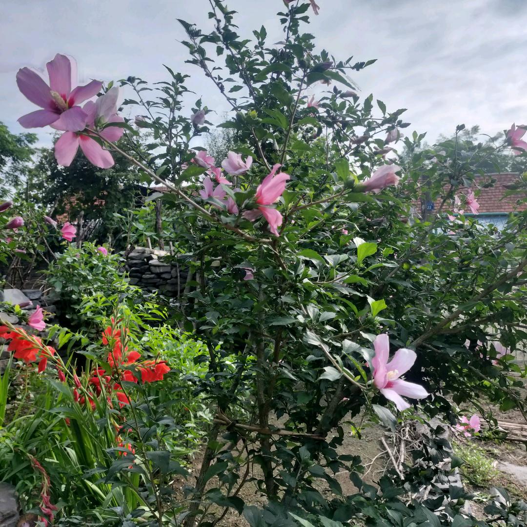 亲亲臭宝🌺