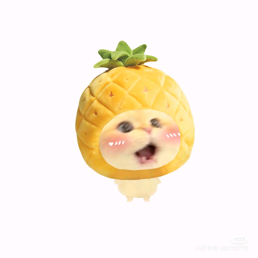 芒果小喵