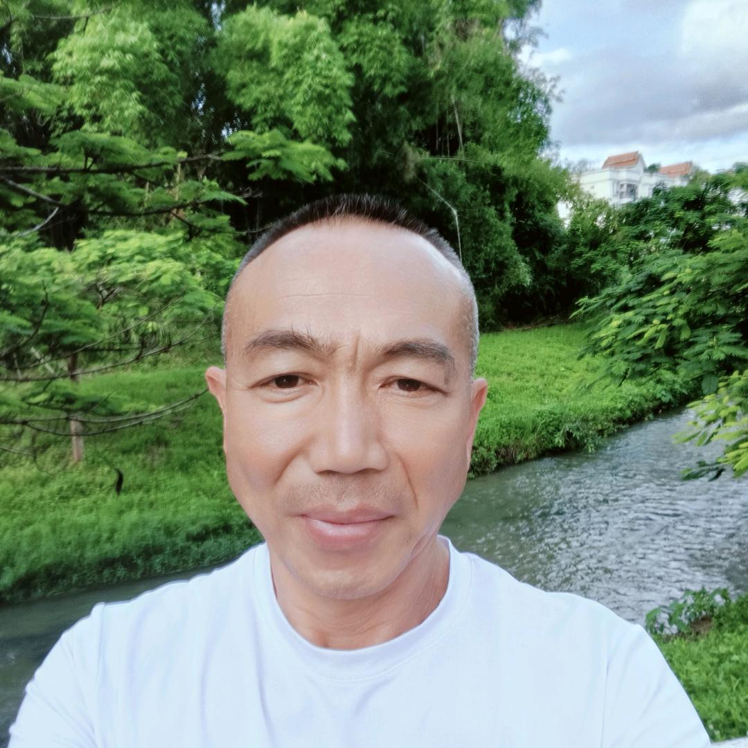 胡歌歌