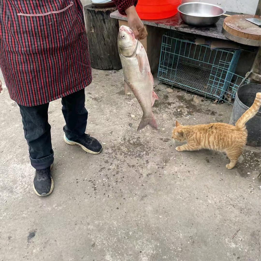 凨凪凮夙@