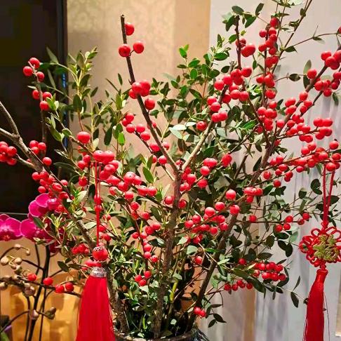 半颗糖🍬留给心上人。