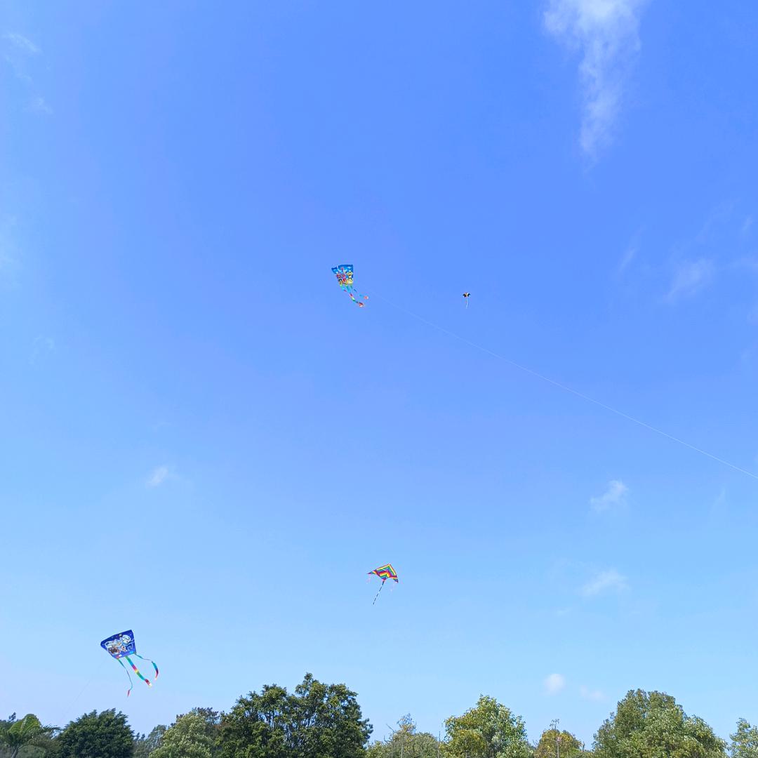 奇瑞汽车红河麦瑞店专用号