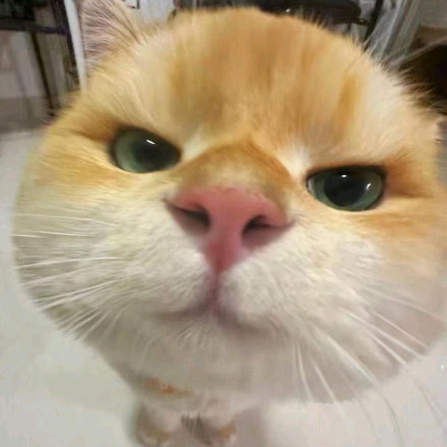锋哥
