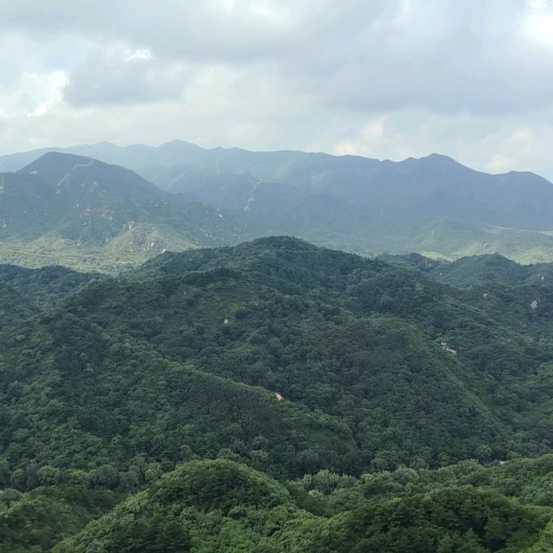 静默人生