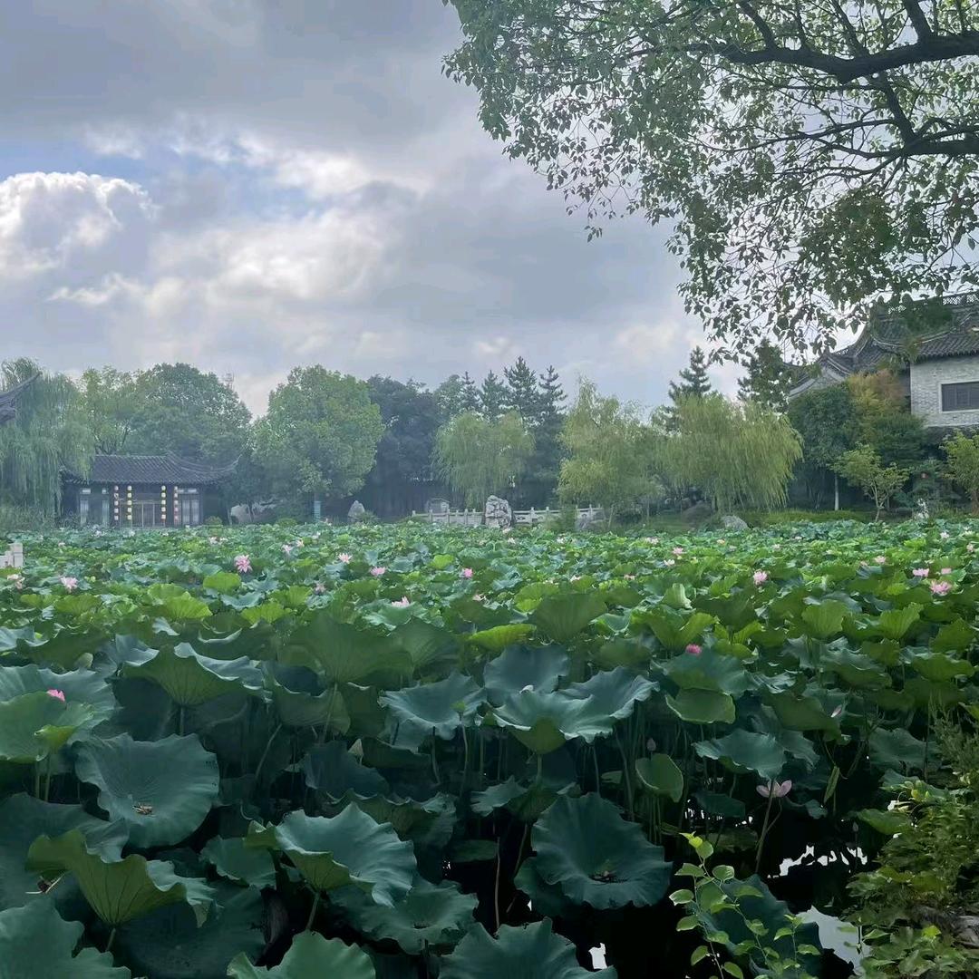 泉水叮当