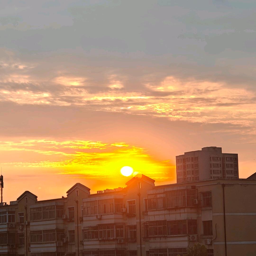鷰