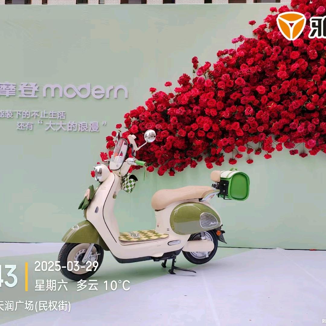 龙江大道雅迪电动车