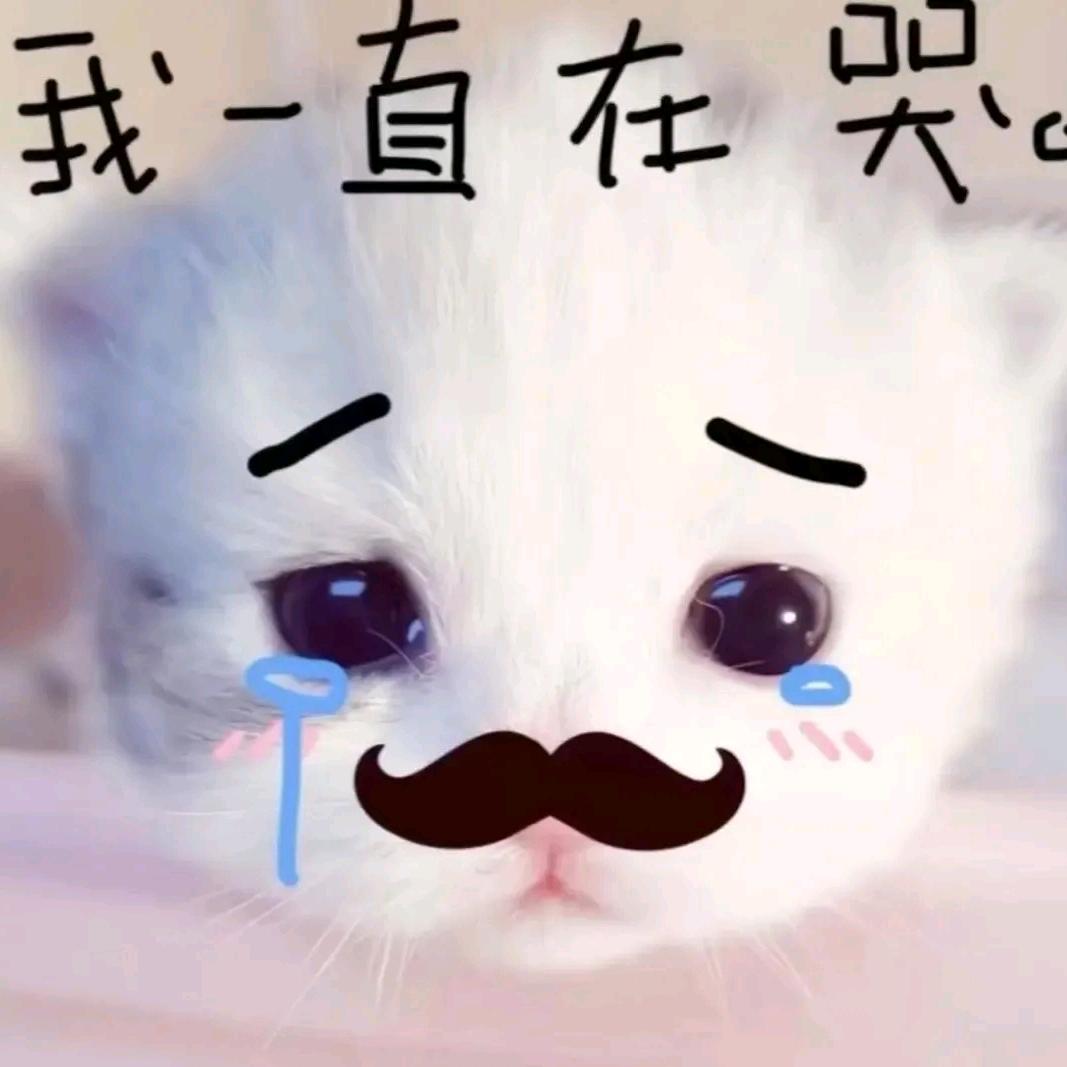 齐佑