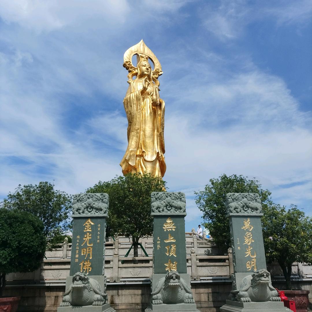 负豪