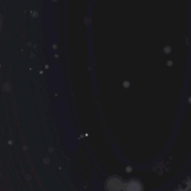 用户6900112795858