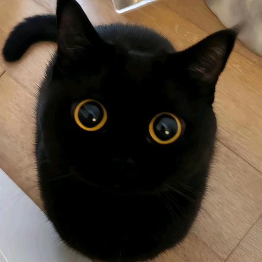 灵珑