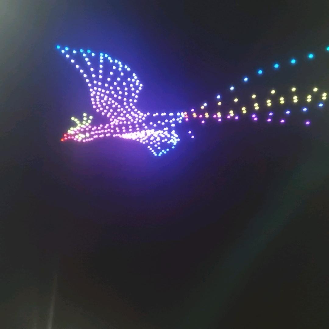 专业做防护及铝合金门窗