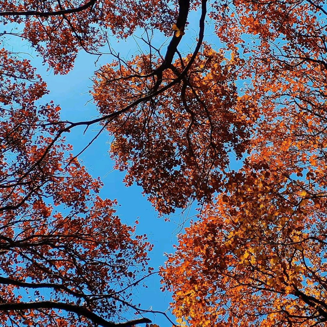 蒙老板的朋友圈