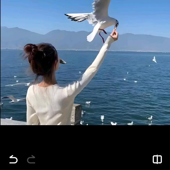 小🐦伊人
