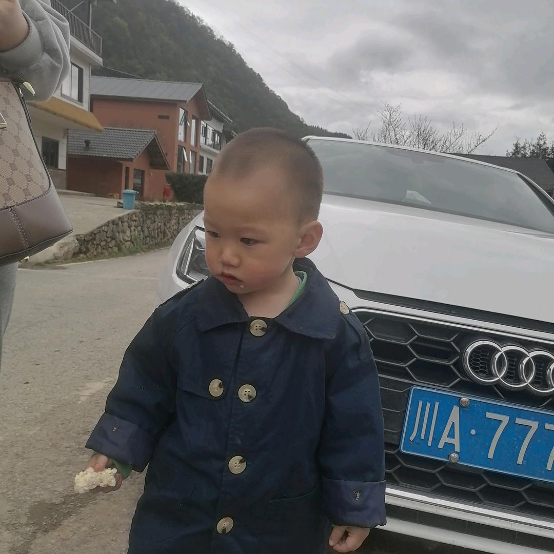 老实人