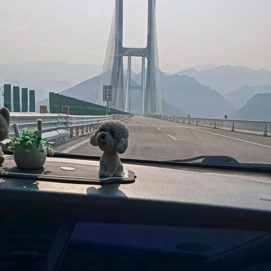 诚成