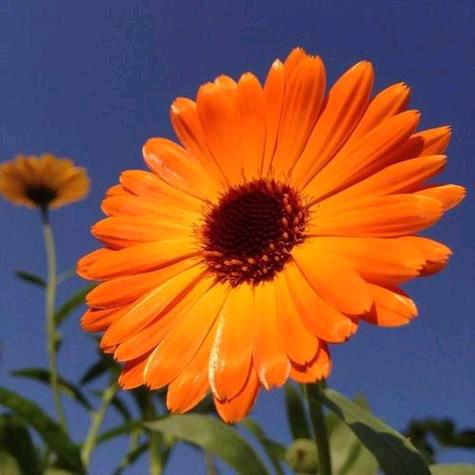 @LILI（橱窗有好物）