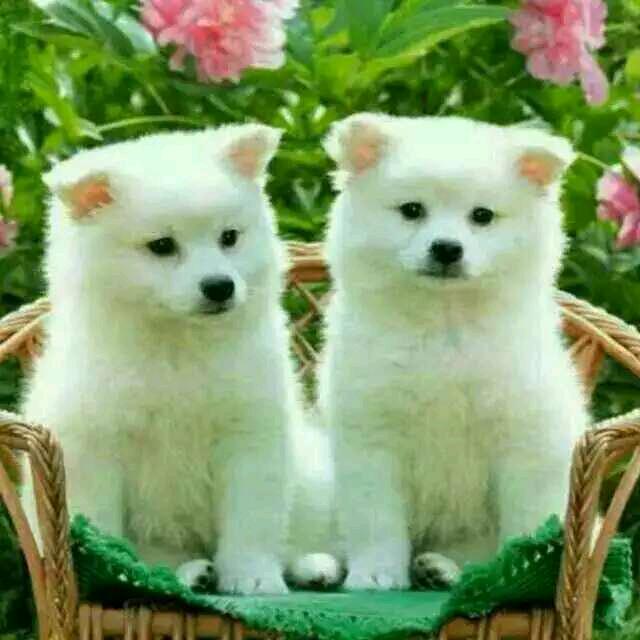 淡出的优雅20230803