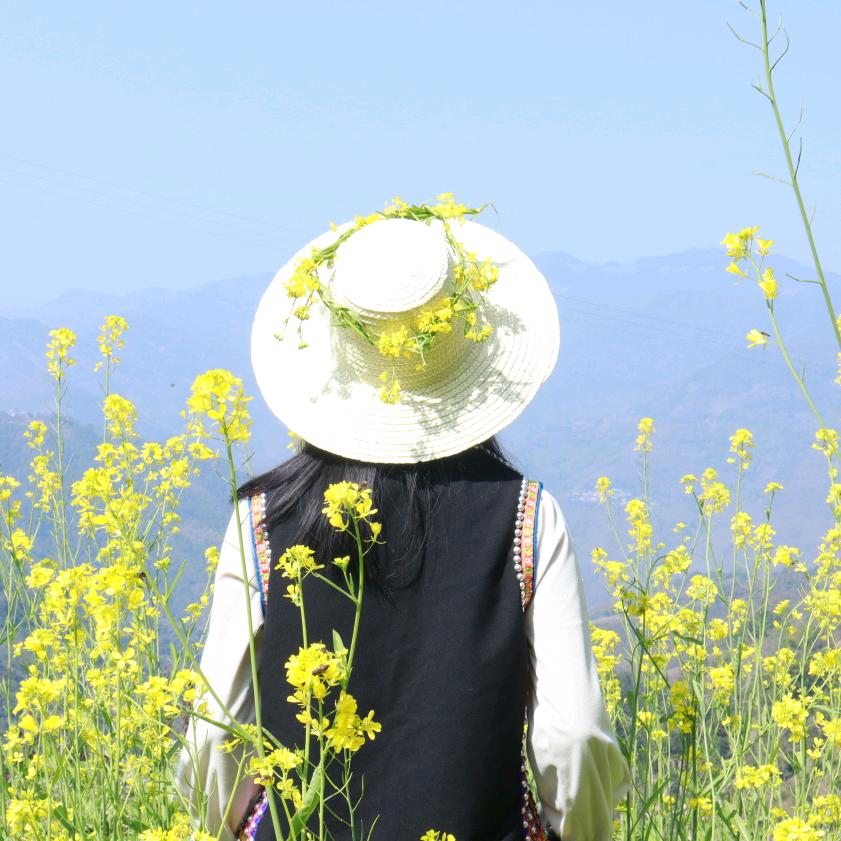 是树呀～📷