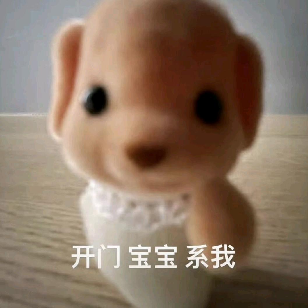 小小chen