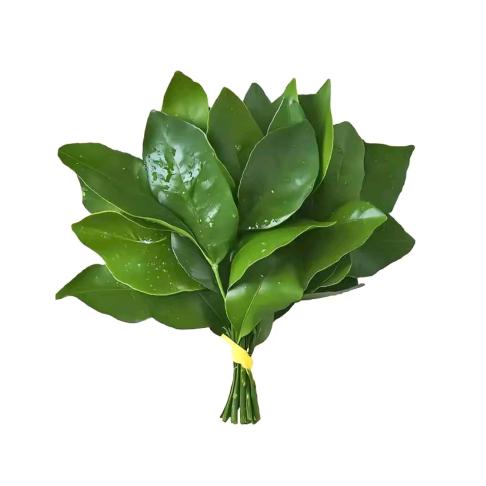 玫瑰～次吉🌹