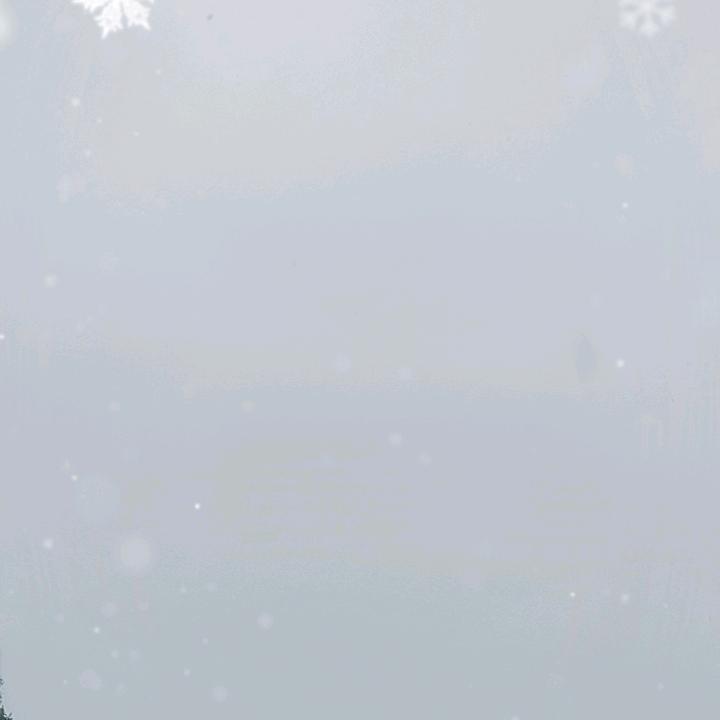 烙宫