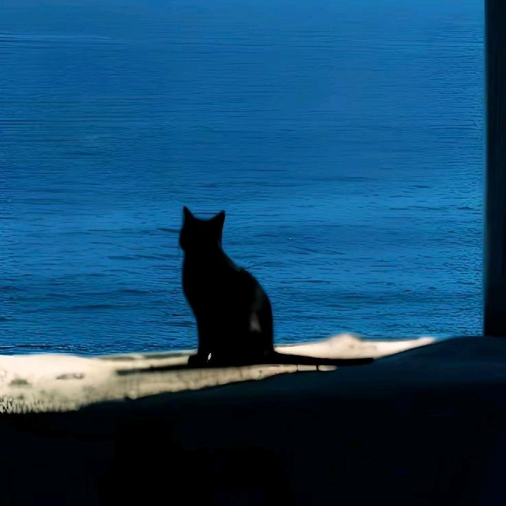 南洋黑猫