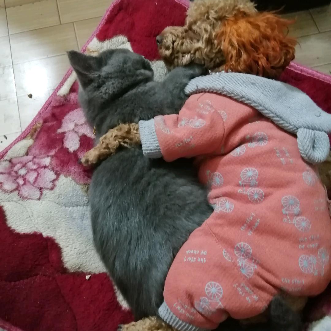 艳梅姐