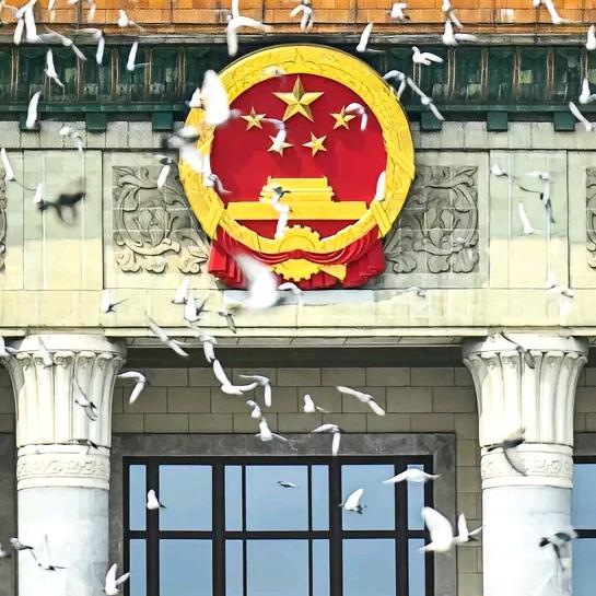轩雨悠然