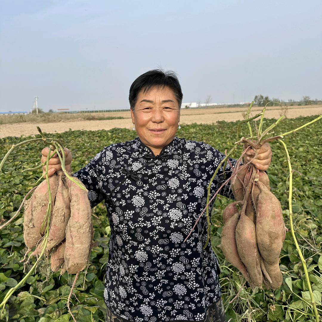 赵金花的朋友圈