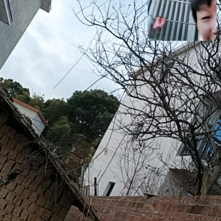 飘洋过海来看你