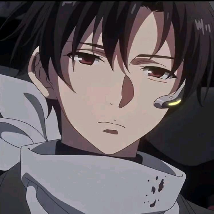 凌晨(林树切片)