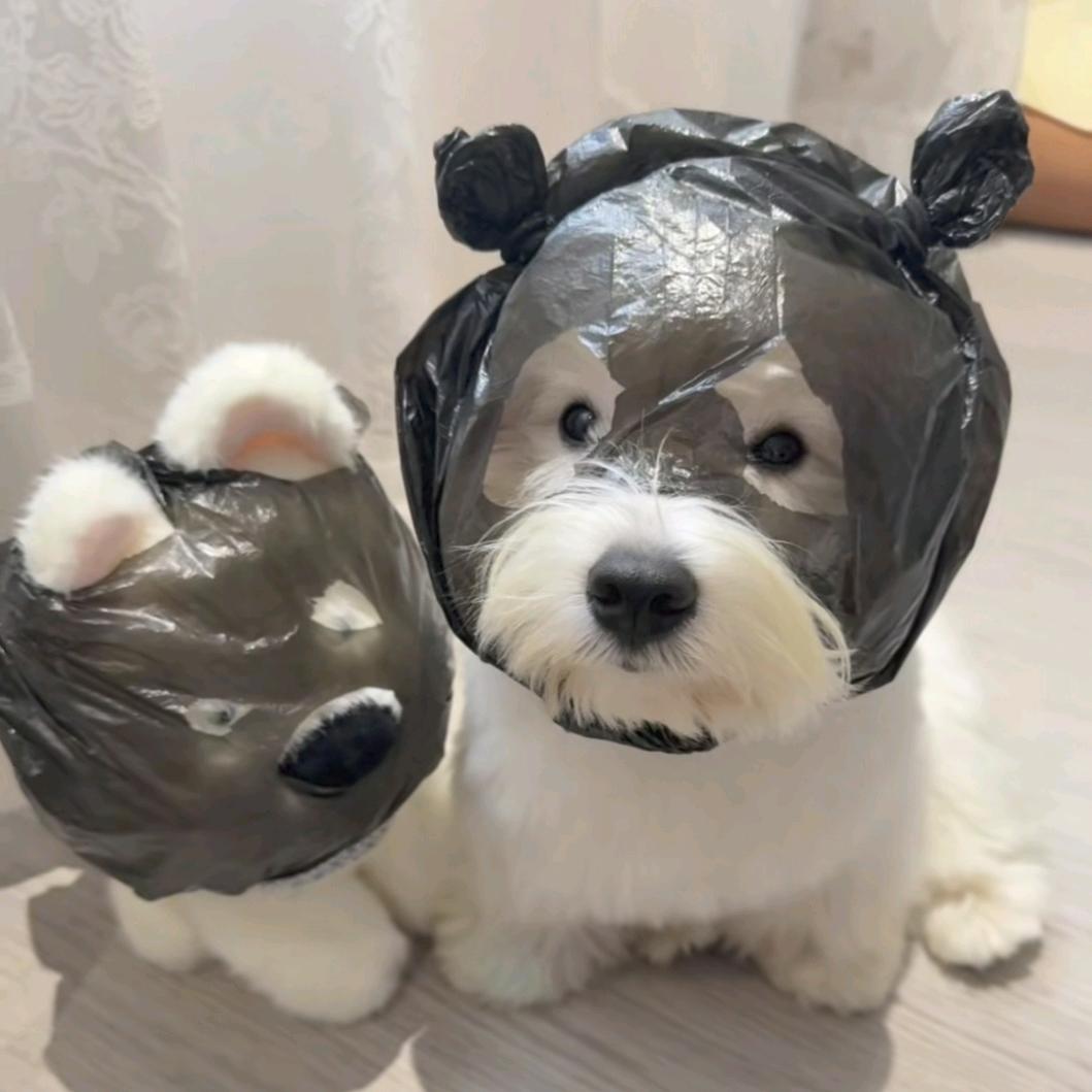 不会压弯的小陈🏍