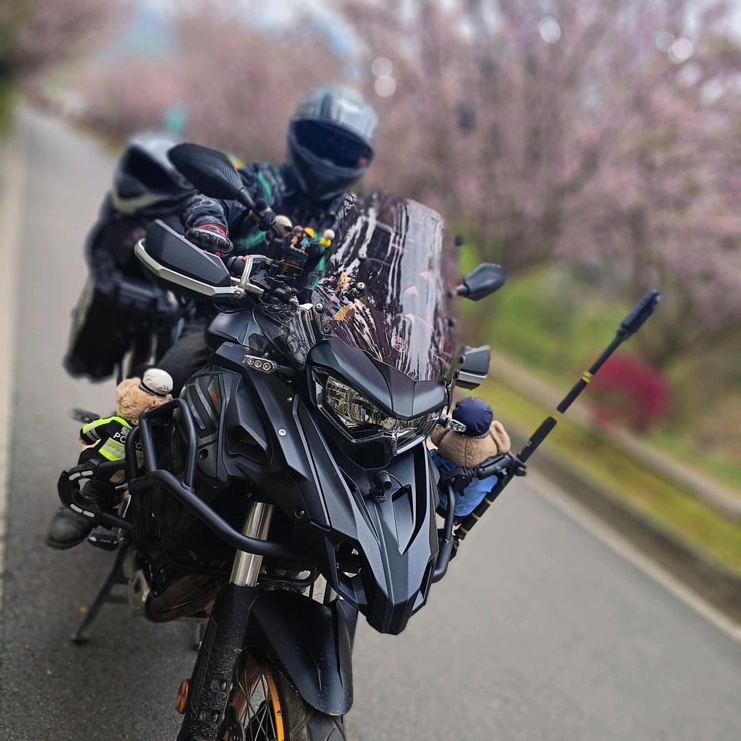 回艺