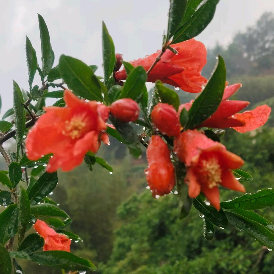美丽明天