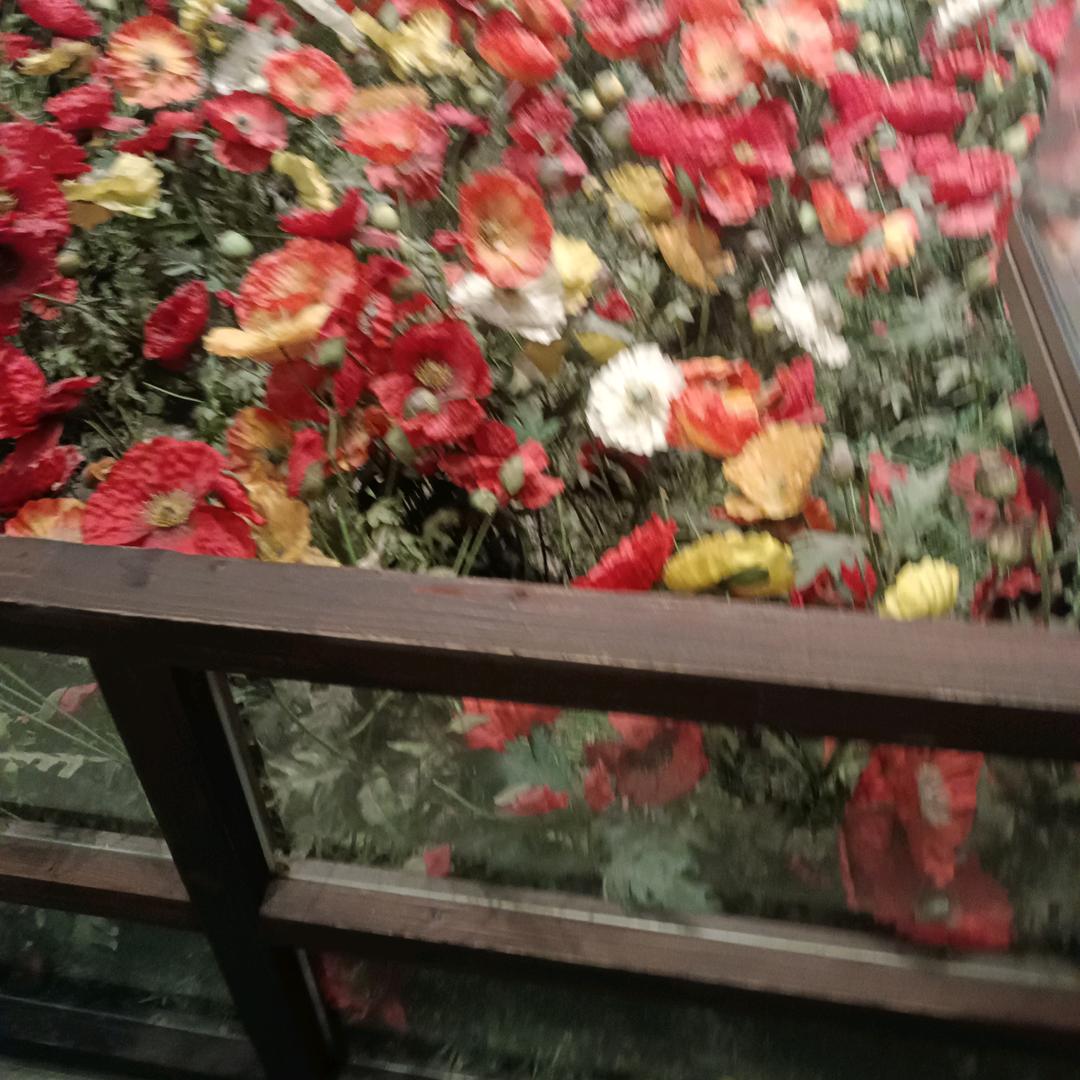 从零开始